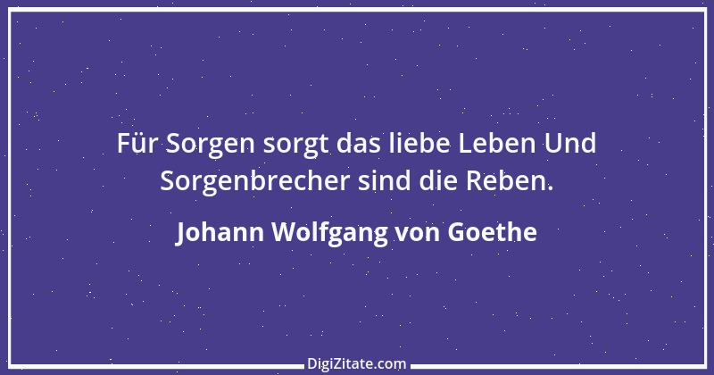 Zitat von Johann Wolfgang von Goethe 3641