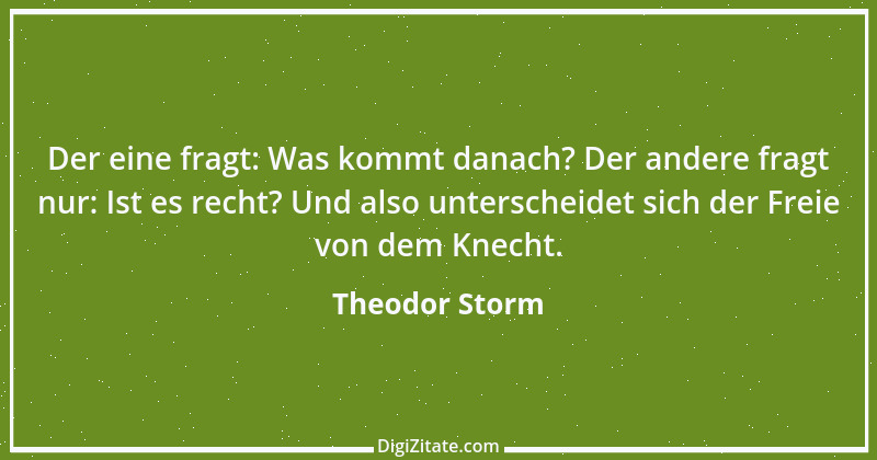 Zitat von Theodor Storm 61