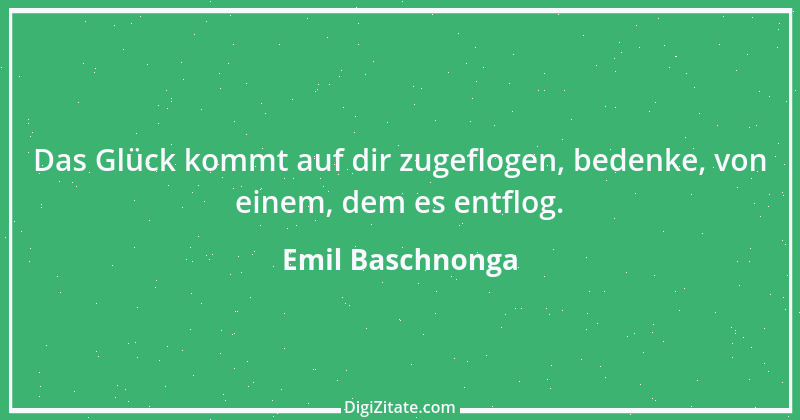 Zitat von Emil Baschnonga 38