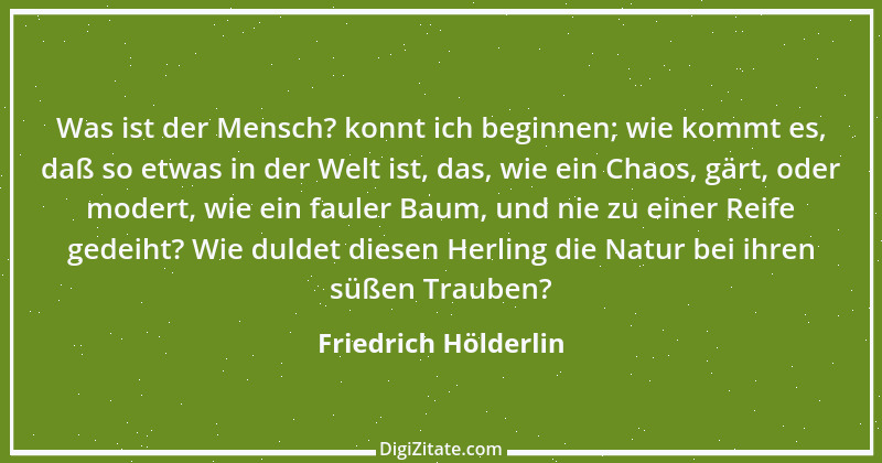 Zitat von Friedrich Hölderlin 152