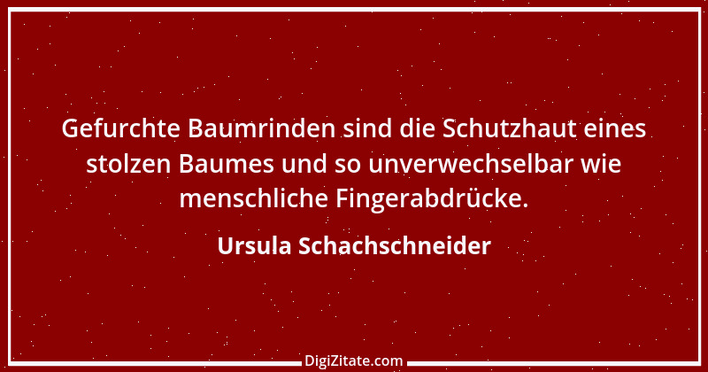 Zitat von Ursula Schachschneider 33