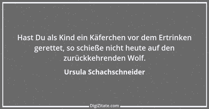 Zitat von Ursula Schachschneider 35