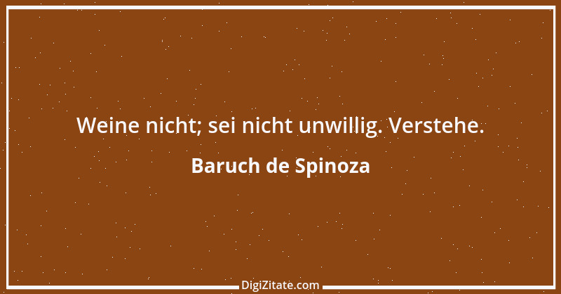 Zitat von Baruch de Spinoza 14