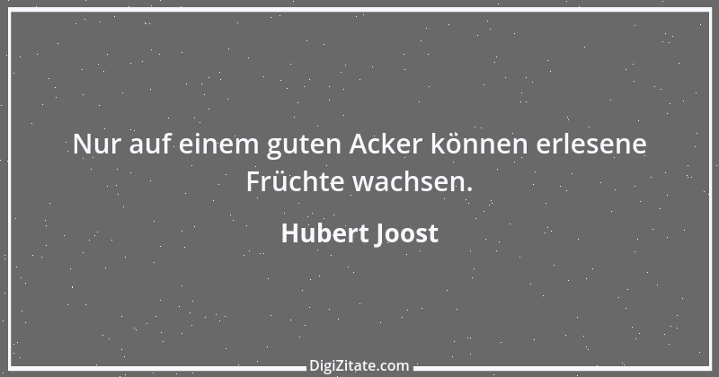 Zitat von Hubert Joost 199