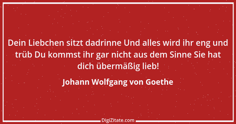 Zitat von Johann Wolfgang von Goethe 1645