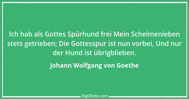 Zitat von Johann Wolfgang von Goethe 645