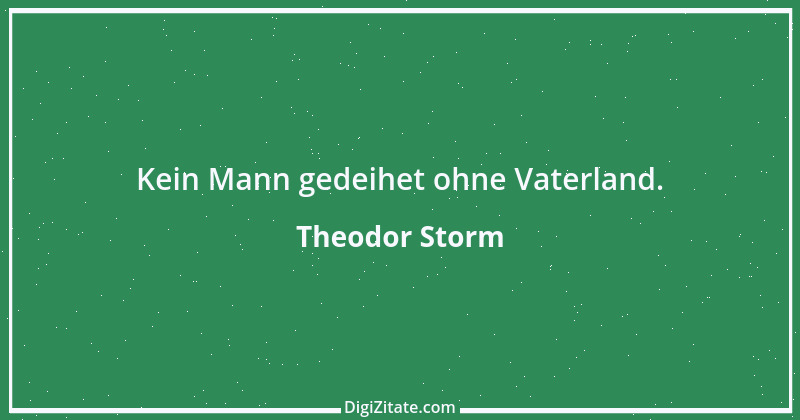 Zitat von Theodor Storm 65