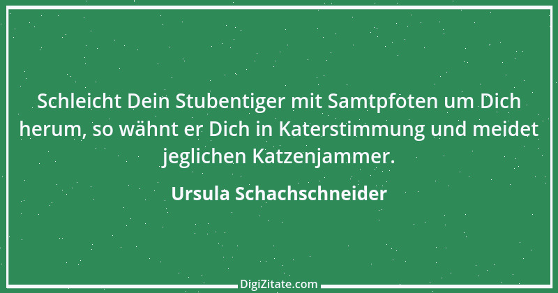 Zitat von Ursula Schachschneider 36