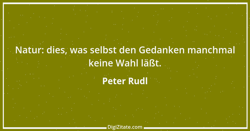 Zitat von Peter Rudl 1092