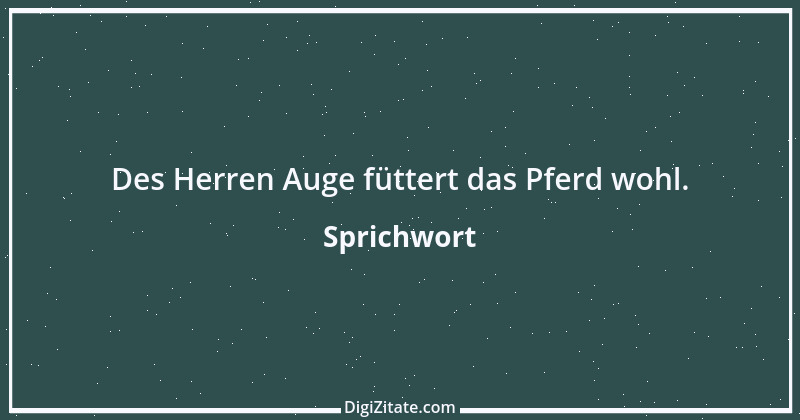 Zitat von Sprichwort 9810