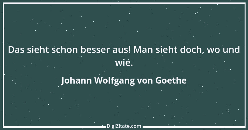 Zitat von Johann Wolfgang von Goethe 647