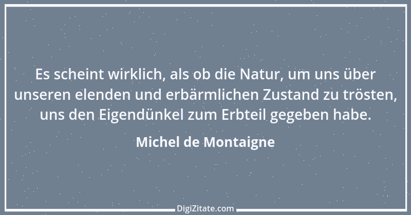 Zitat von Michel de Montaigne 335