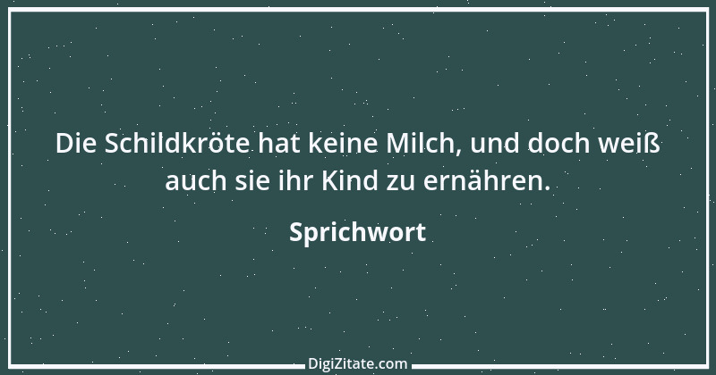 Zitat von Sprichwort 5641