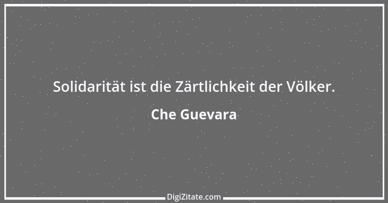 Zitat von Che Guevara 8