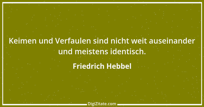 Zitat von Friedrich Hebbel 5