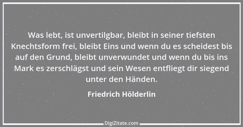 Zitat von Friedrich Hölderlin 161