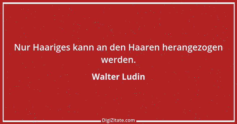 Zitat von Walter Ludin 1153