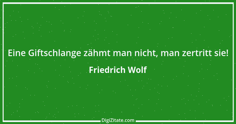 Zitat von Friedrich Wolf 1