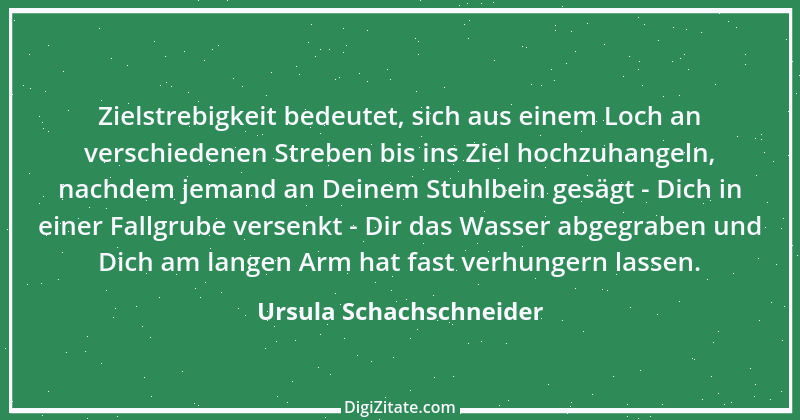 Zitat von Ursula Schachschneider 44