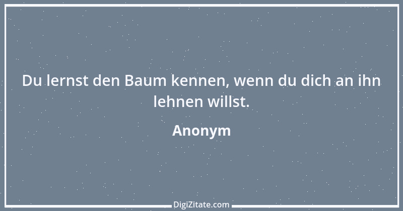 Zitat von Anonym 4622