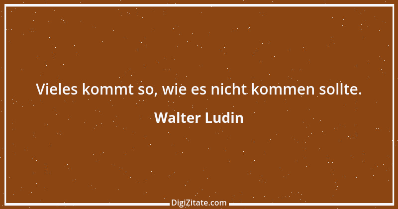 Zitat von Walter Ludin 1157