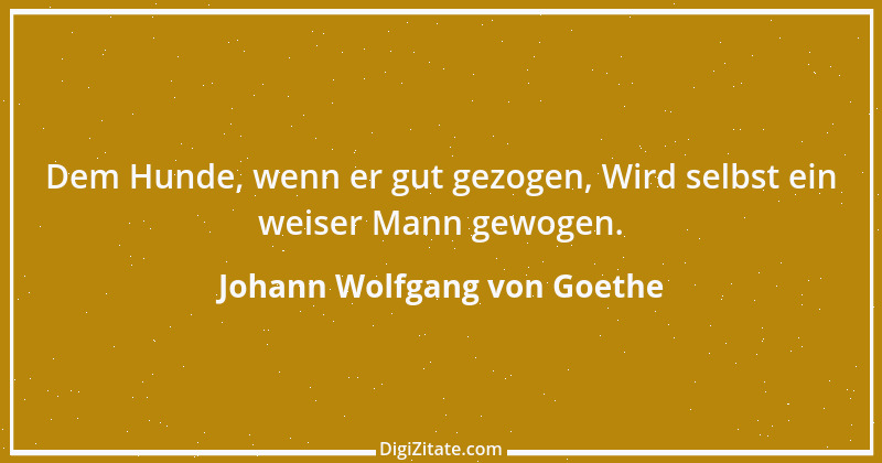 Zitat von Johann Wolfgang von Goethe 3819