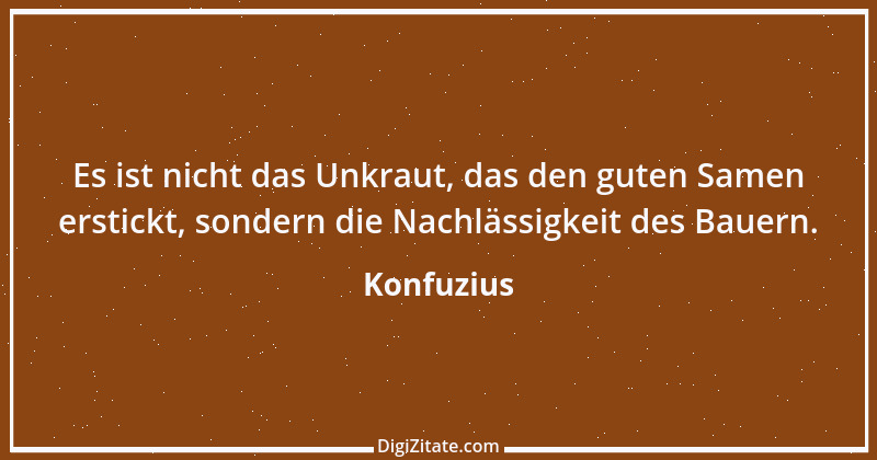 Zitat von Konfuzius 62