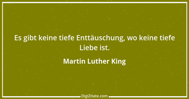 Zitat von Martin Luther King 17