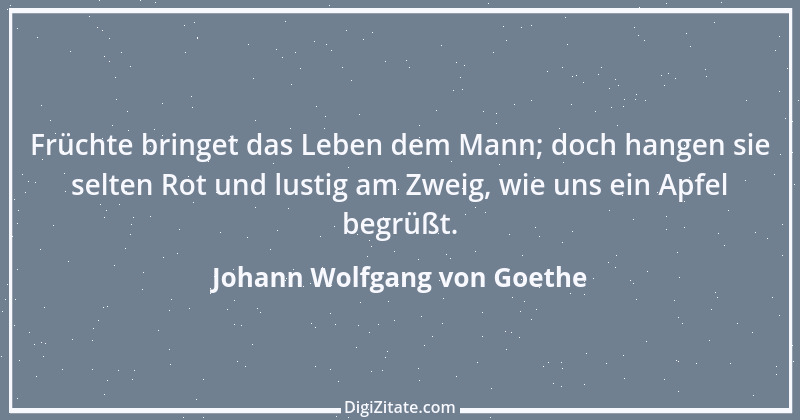 Zitat von Johann Wolfgang von Goethe 656