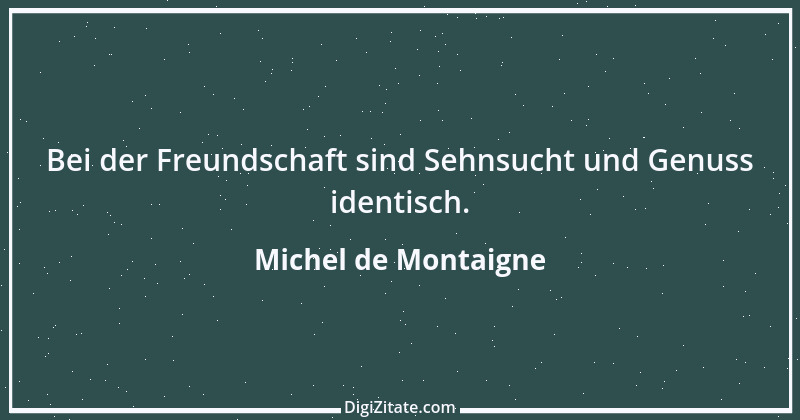 Zitat von Michel de Montaigne 344