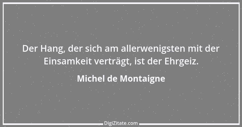 Zitat von Michel de Montaigne 345