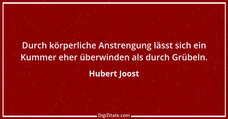 Zitat von Hubert Joost 213