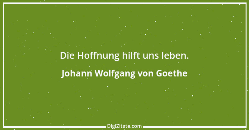 Zitat von Johann Wolfgang von Goethe 3659