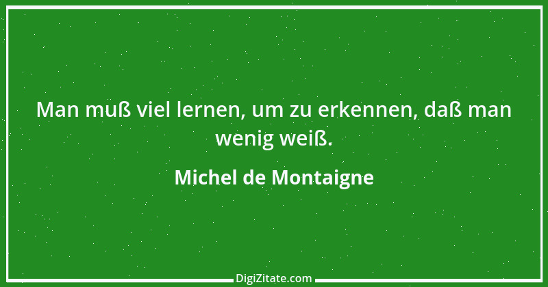 Zitat von Michel de Montaigne 348