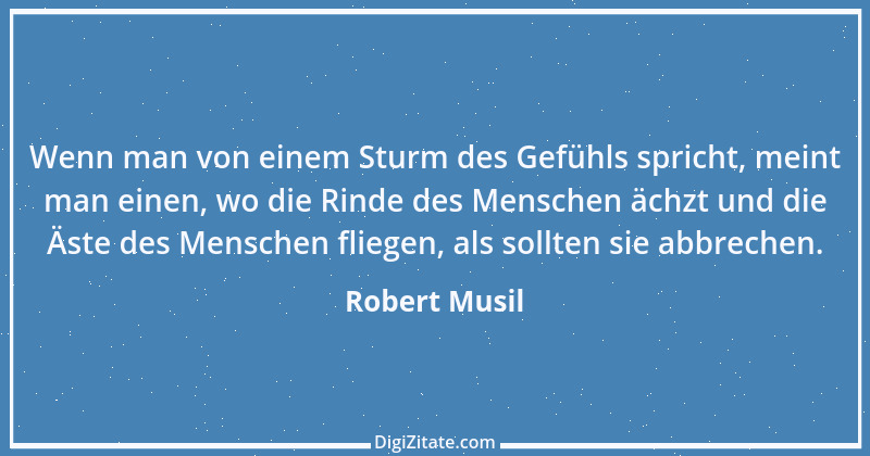 Zitat von Robert Musil 134