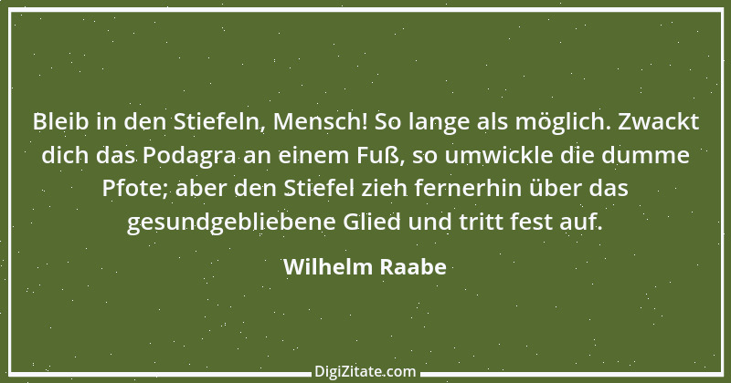 Zitat von Wilhelm Raabe 139