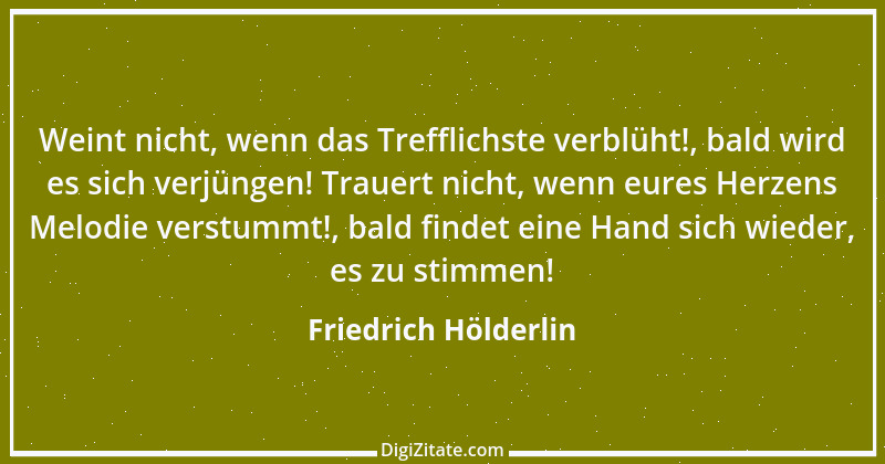 Zitat von Friedrich Hölderlin 171