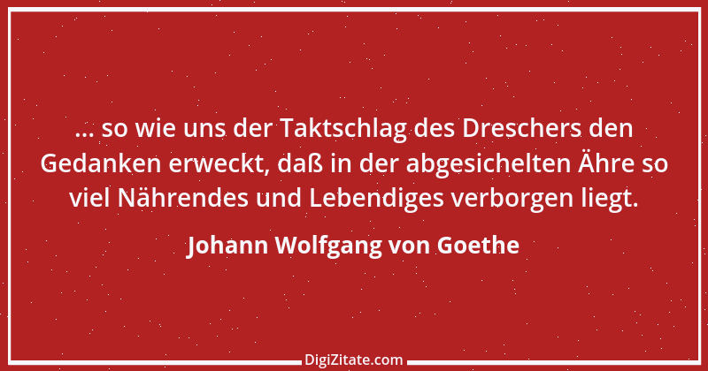 Zitat von Johann Wolfgang von Goethe 2661