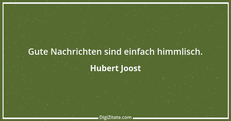 Zitat von Hubert Joost 216