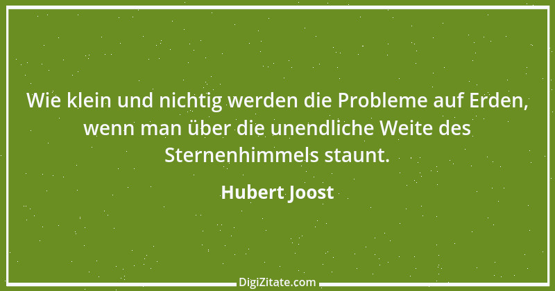 Zitat von Hubert Joost 217