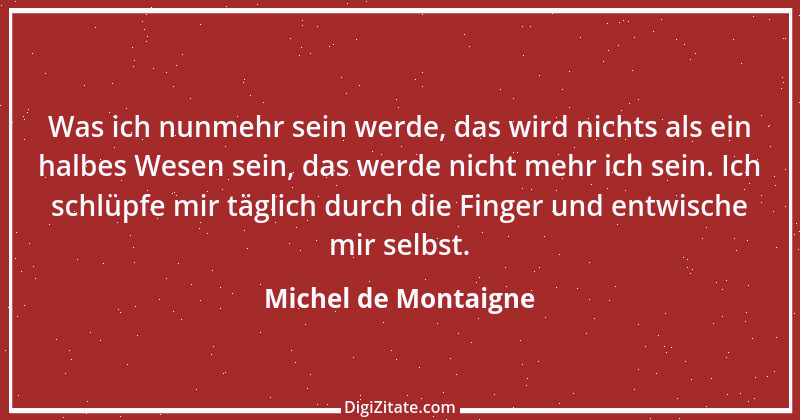 Zitat von Michel de Montaigne 351