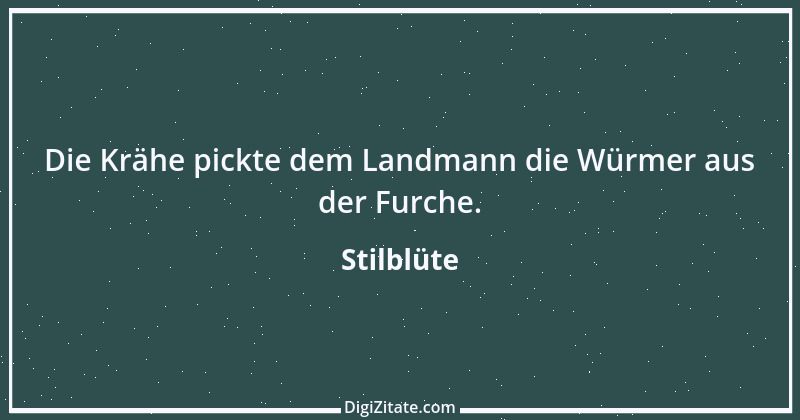 Zitat von Stilblüte 6