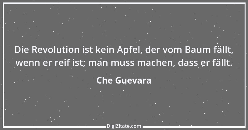 Zitat von Che Guevara 22