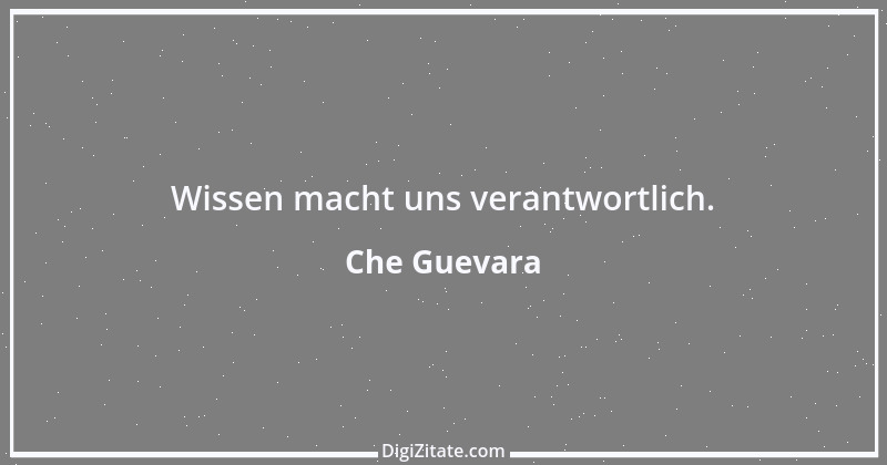 Zitat von Che Guevara 23