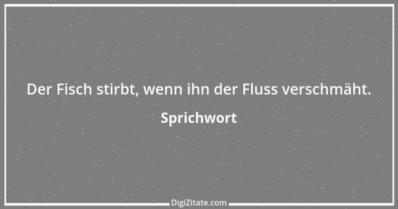 Zitat von Sprichwort 657