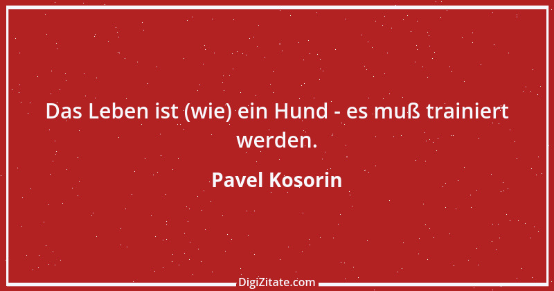 Zitat von Pavel Kosorin 203