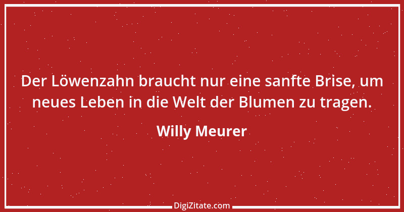 Zitat von Willy Meurer 967