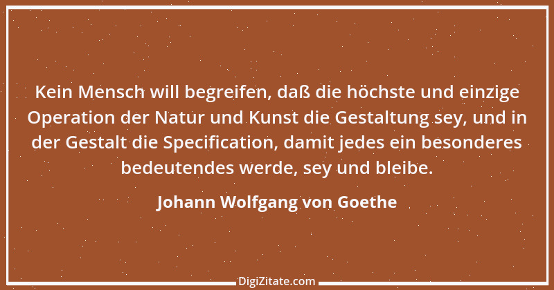 Zitat von Johann Wolfgang von Goethe 667