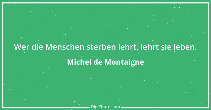 Zitat von Michel de Montaigne 355