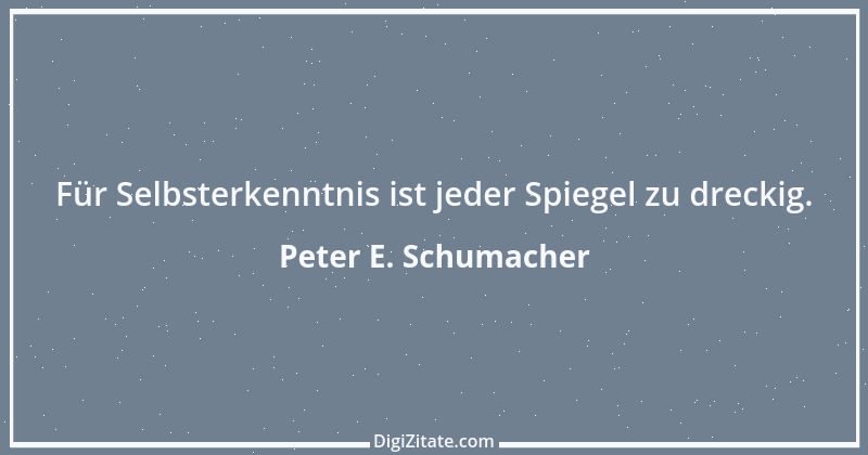 Zitat von Peter E. Schumacher 472